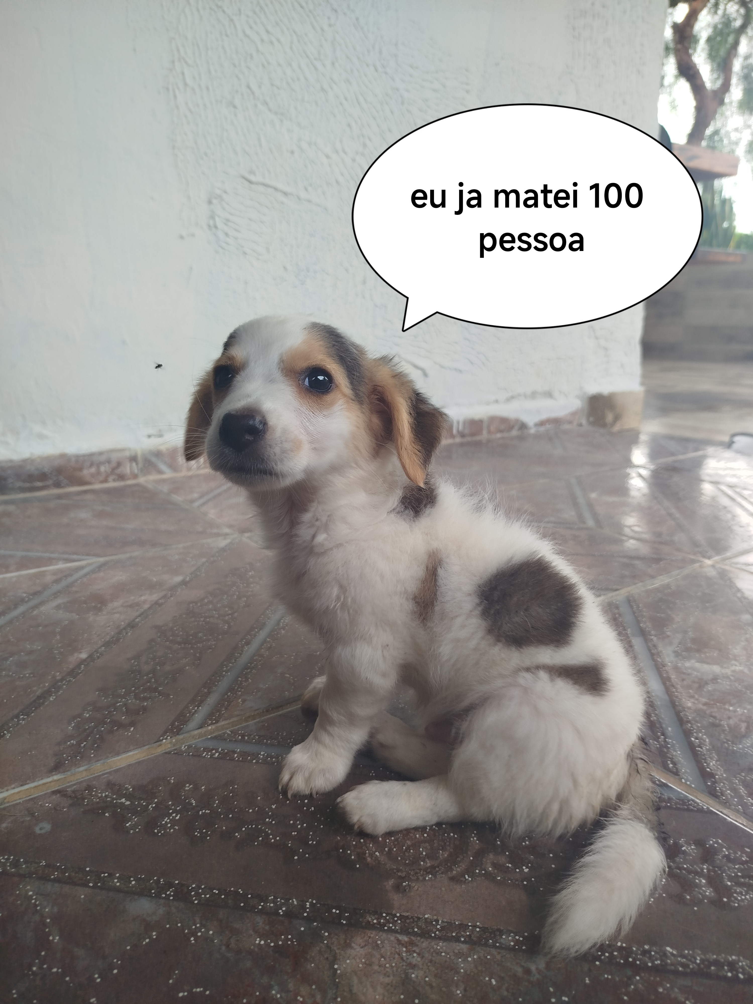 Finalmente estou me sentindo feliz